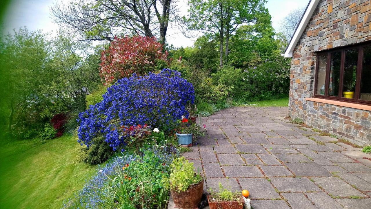 Longlane House B&B, Laugharne Exterior photo